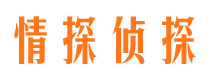 洪山市私家侦探公司